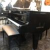 Piano de Cola Estonia Gran Concierto Negro Brillante Modelo 274 - Majestuosidad Musical en Su Máxima Expresión - Imagen 6