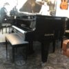 Piano de Cola Estonia Gran Concierto Negro Brillante Modelo 274 - Majestuosidad Musical en Su Máxima Expresión - Imagen 7
