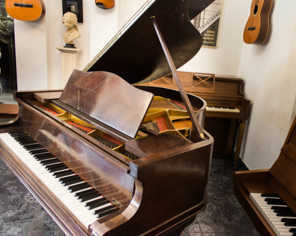 Piano de Cola Gaveau Paris Caoba Satinado Francés de 150 cm - Elegancia y Tradición Melódica en un Instrumento Compacto - Imagen 7